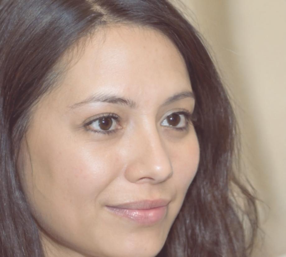 Testimonio sobre implementación técnica del sistema arvunovaros